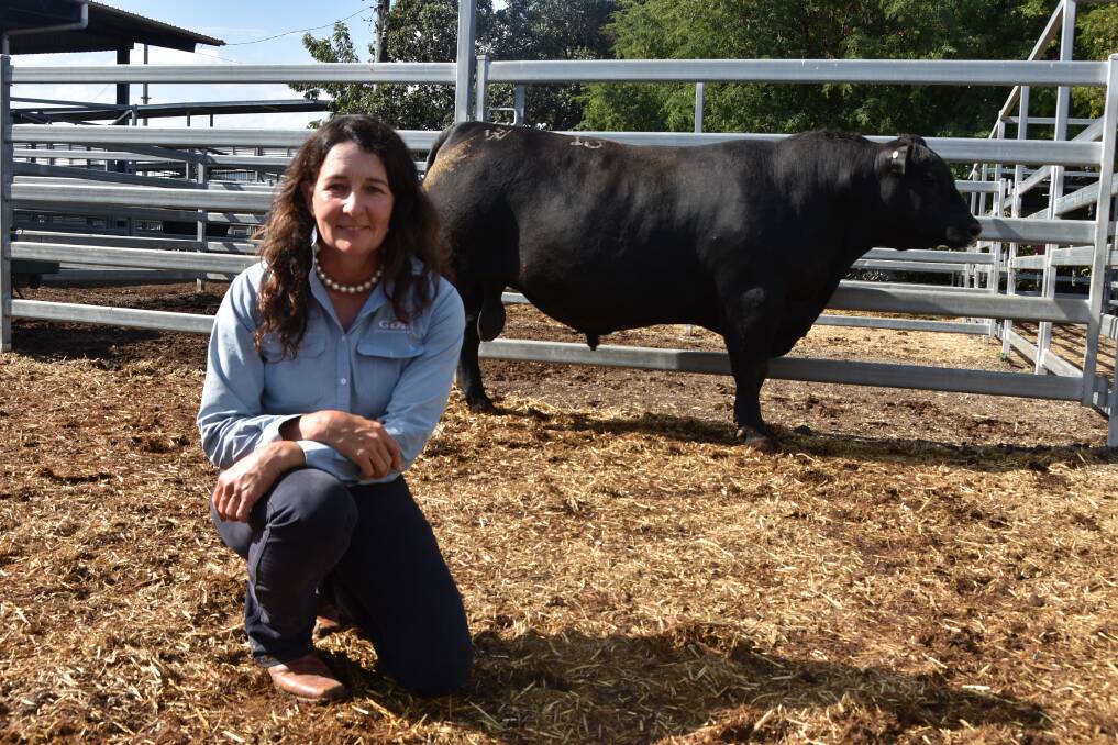 SPIRITED BIDDING: Second-top priced bull Murdeduke Nitro Q139 sold for $25,000 to Ailee Donaldson from Alpha, and is pictured with SBB/GDL selling agent Georgie Connor, Rockhampton. Picture: Ben Harden