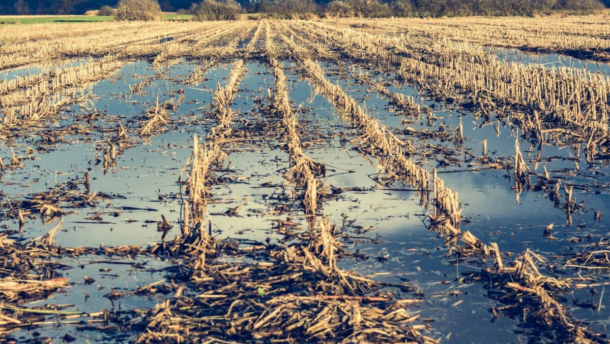 What you need to know about Crop Insurance for 2019