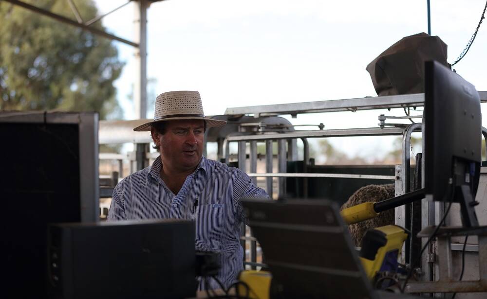 Pooginook Merino and Poll Stud manager John Sutherland using the latest technology to review genetic information of his sheep.
