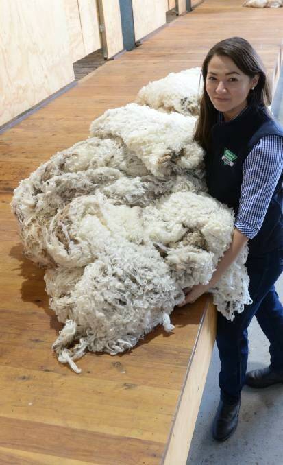 Sheep producers come together to advance industry