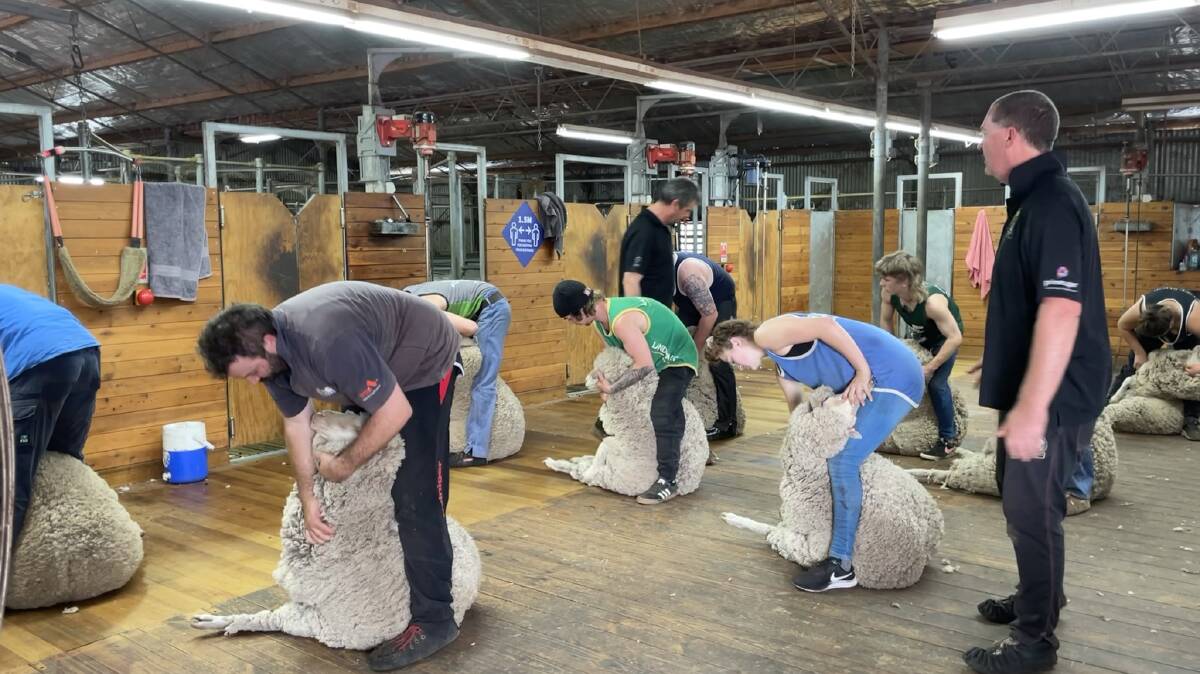 Trainee shearers on the boards during a SCAA Shearer Woolhandler Training course. 