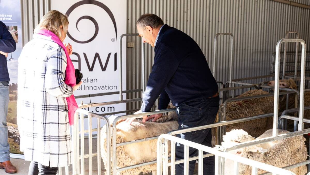 AWI chairman Jock Laurie inspects a sheep that has undergone the biological defleecing process that the recent demonstration day. Photo supplied. 