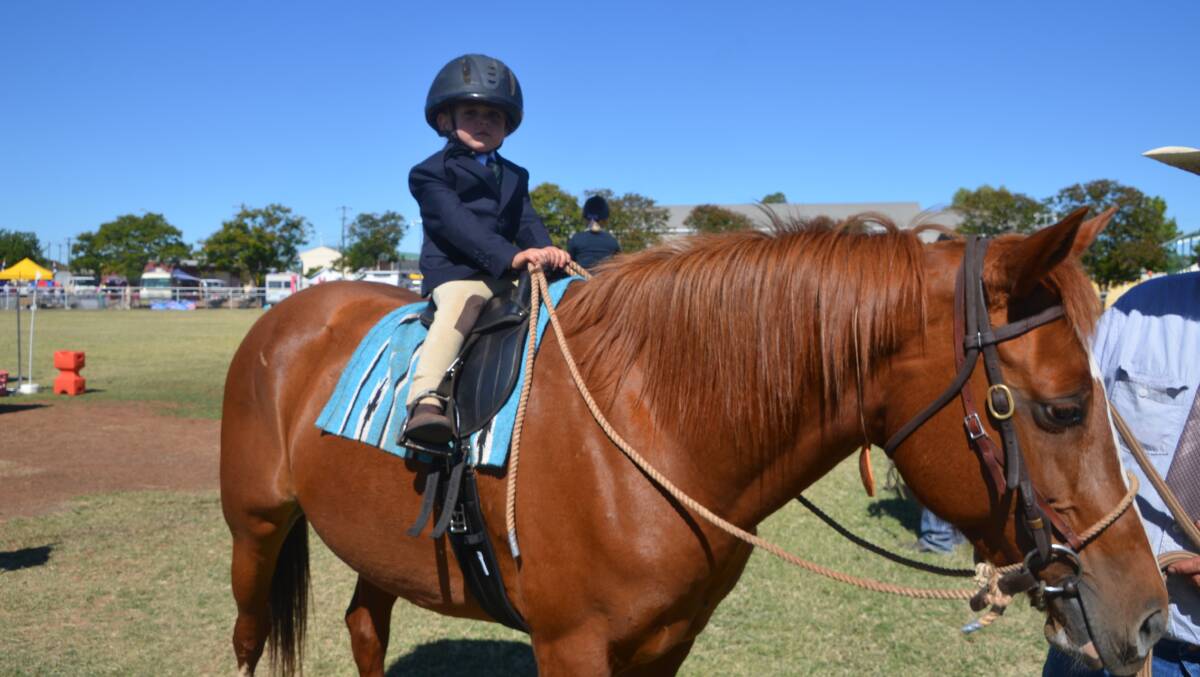 STARTING YOUNG: Georgia Snelling, aged 2, was one of the very youngest competitors in the Cloncurry Show. Photo: Derek Barry