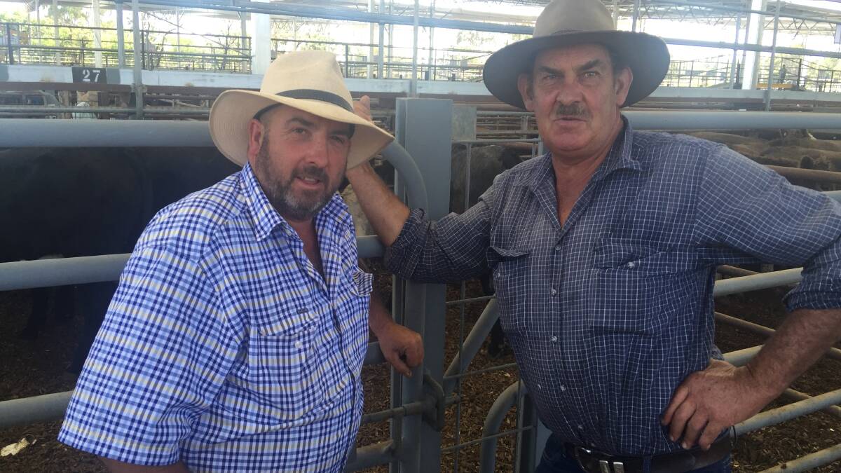 Landmark Euroa's Colin Broughton, left, with his brother Neville from Strathbogie. Neville sold 16 Angus steers averaging 424kg for $1450 ($3.42kg).