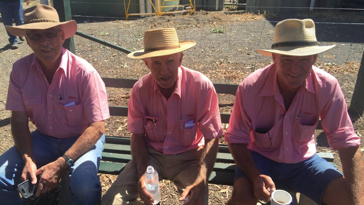 Pink shirts taking a break were, from left, Barry Stephens, Seymour, Tom Wood, Euroa and Tony Pianto, Shepparton.