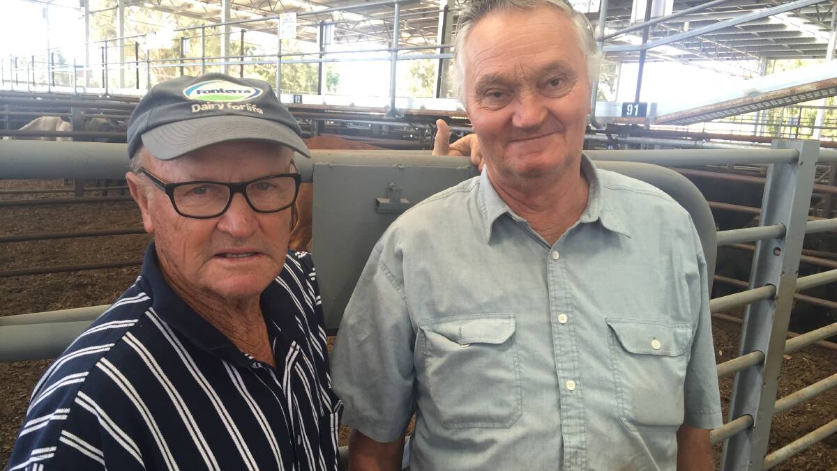John Hall, left, and Eric Simmons, both from Stanhope, were at the Euroa yards for the first time. They normally sell through Echuca.