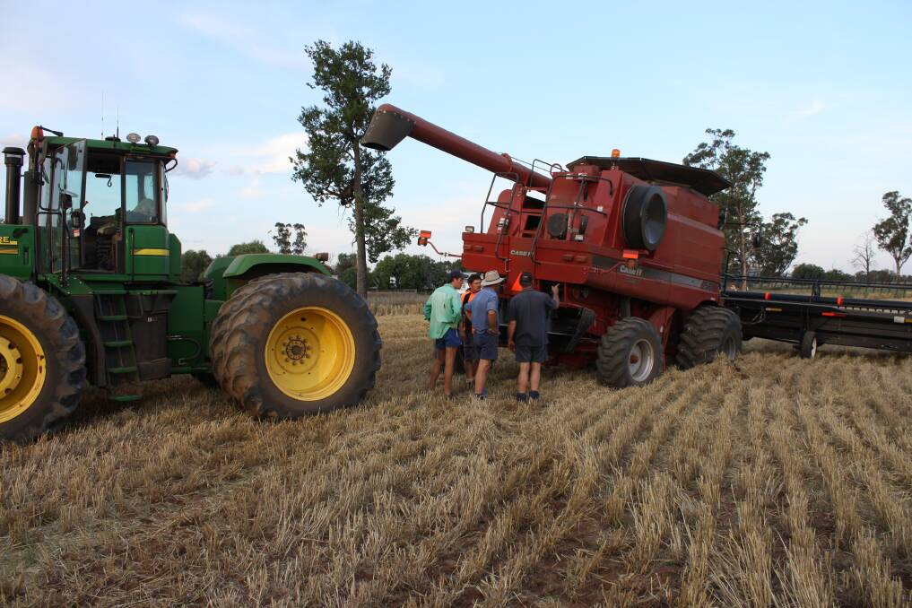 With harvest poised to start, grain growers will be looking to the skies - as weather forecasting models indicate late spring and summer could be wetter than average in many regions.
