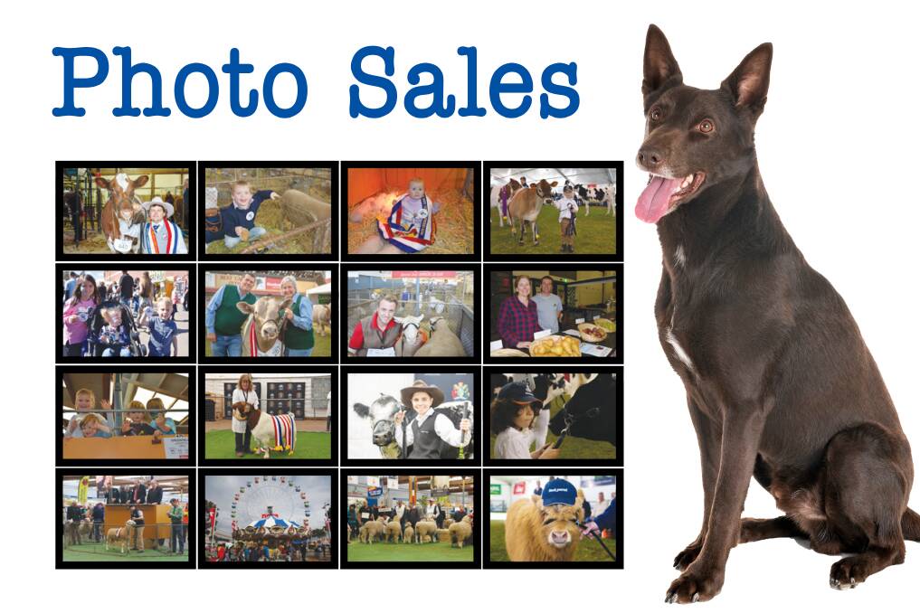 Stock & Land - Photo Sales