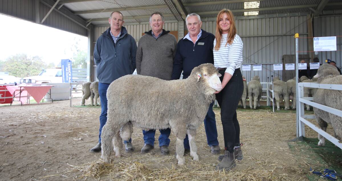 Dunedin Park Poll Merino stud principals and buyers Warren and Stuart Duncan, Wentworth, NSW, with Terrick West stud co-principals Ross and Claire McGauchie, Prairie, and the top-priced $8000 ram. Picture by Holly McGuinness