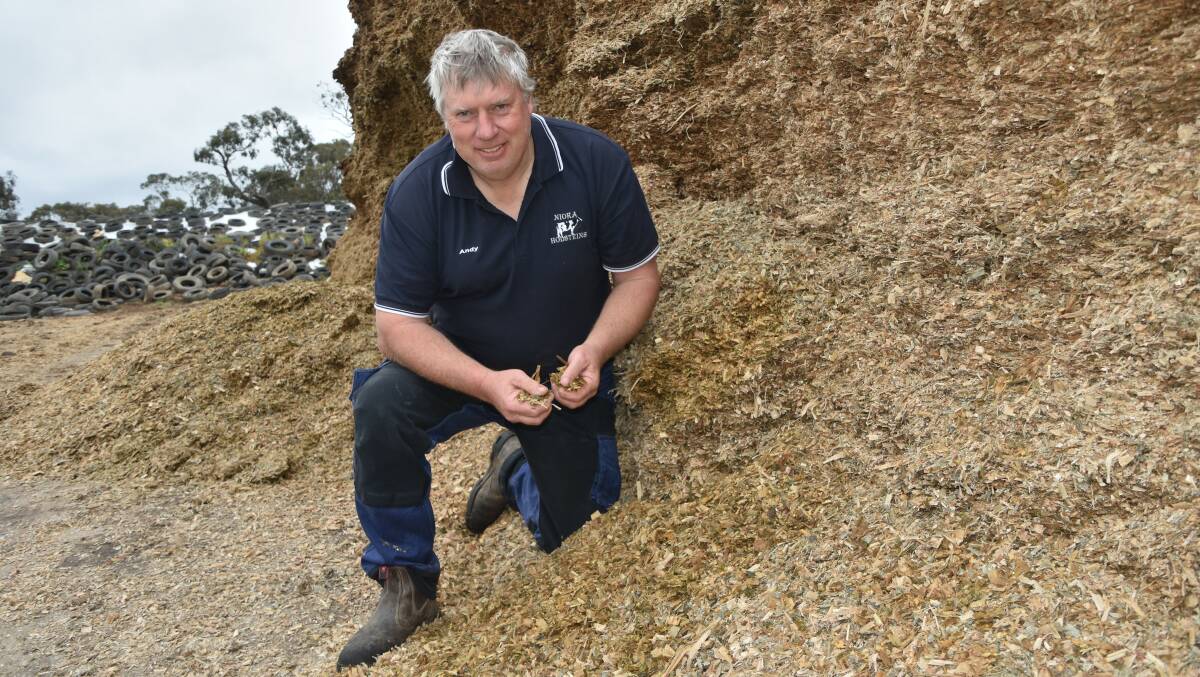 MANY OPPORTUNITIES: Tongala dairy farmer and Murray Dairy chair Andrew Tyler with some of his maize silage on his northern Victoria dairy farm.