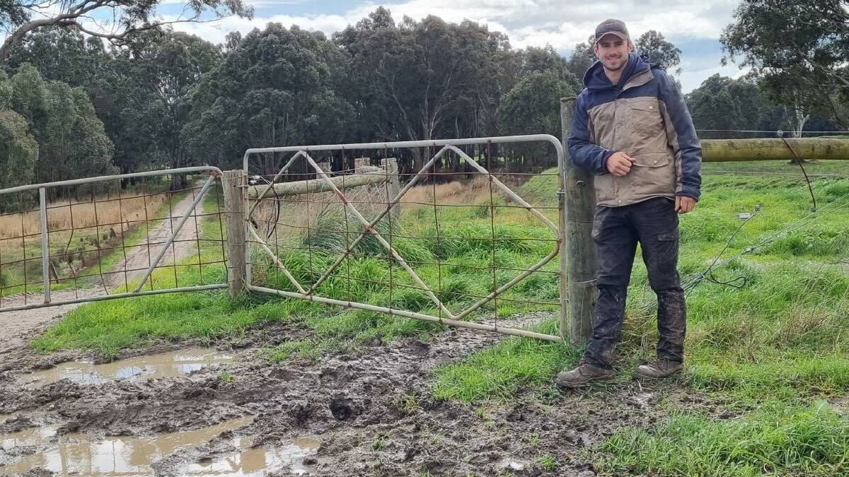 WET UNDER FOOT: Flynn Angus breeder Luke Stuckey moved cattle to higher ground as the Latrobe River rose steadily.