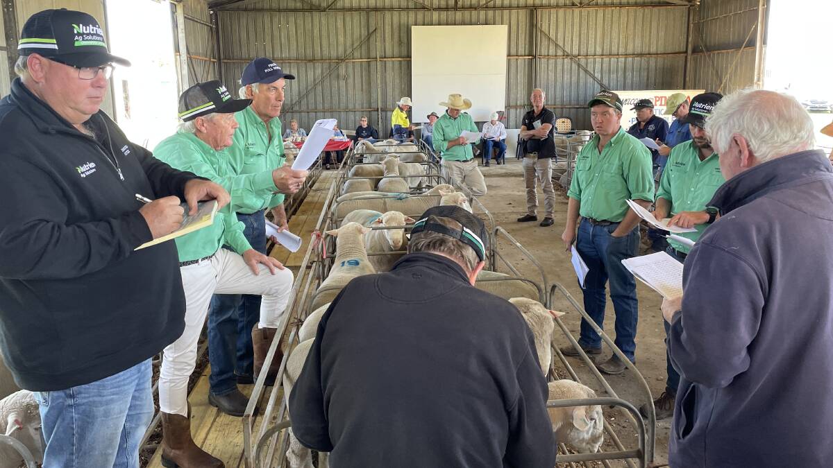 Nutrien Greenwood Livestock auctioneer Gordon Conners (second from left) fields bids from the buying gallery at Pinora.