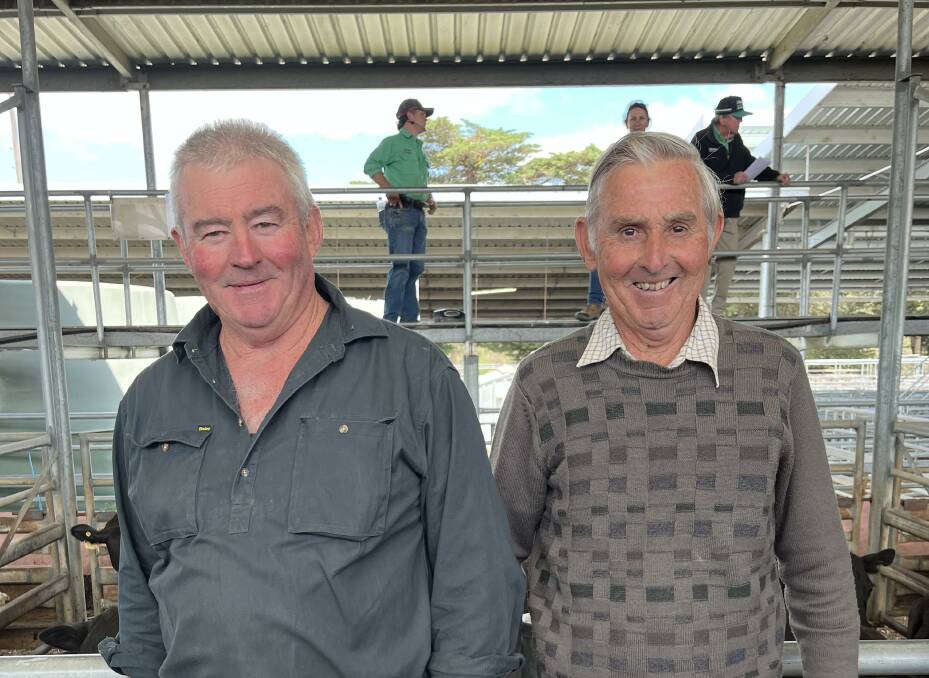 Brothers Barry and Geoff Cameron, Buchan, sold six Angus cows with calves at foot at Bairnsdale. Picture supplied