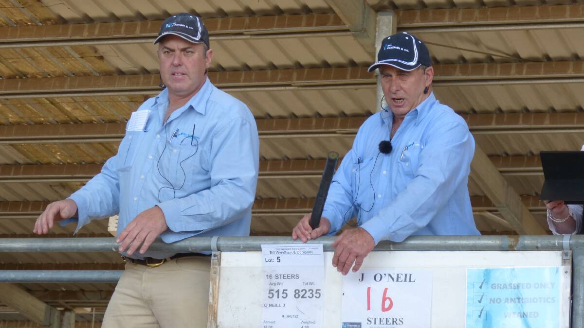 STRONG RESULT: Bill Wyndham & Co auctioneers Jake Fullgrabe and Colin Jones, Bairnsdale, conducted the annual opening spring sale in east Gippsland on Tuesday.