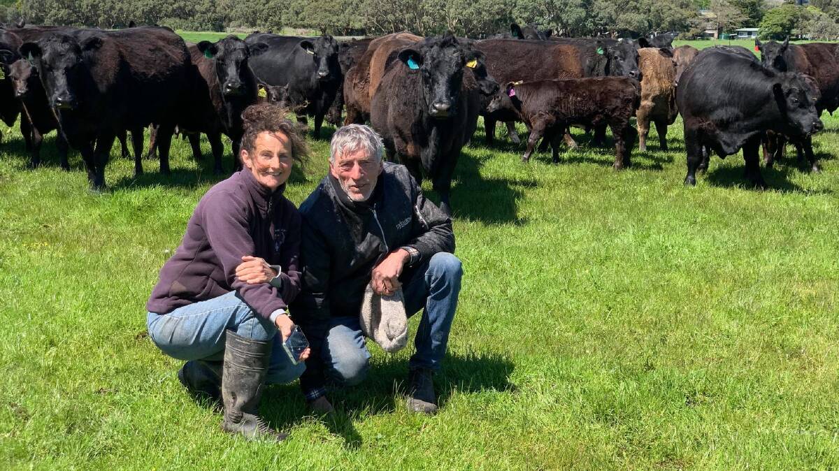 SOGGY AND WET: Sandy Point cattle breeders Frances Toohey and David Pilkington, Doonagatha, say paddocks on their Gippsland farm have been inundated with rainfall.