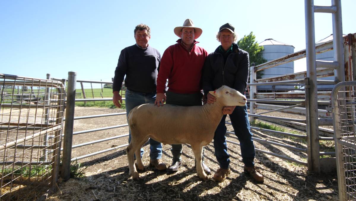 Buyer Anthony Barri, A & K Barri, Glenhope East, Elders Kyneton agent Dean Coxon, and Jews Harp Poll Dorset stud principal Michael O'Sullivan, Baynton, with top priced $2300 ram. Picture by Holly McGuinness 