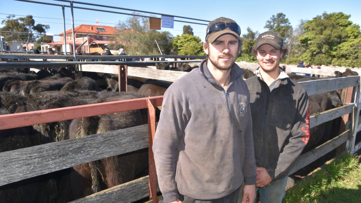 Luke Stuckey and Tom Blomquist, Leawood Angus, Flynn, pictured in August 2021 at the annual Heyfield store sale when they sold 48 cattle, 15 months, including 24 Angus steers, 371kg, for $2340 or 630c/kg.