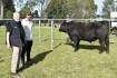 Leawood Angus sells its entire draft of bulls and females to $19,000