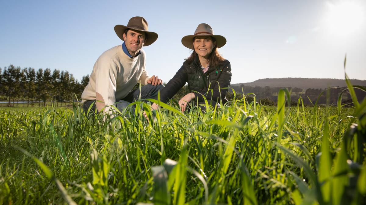 BOLD PLAN: Tas Ago Co owners Sam and Steph Trethewey have ambitions to run a carbon-positive Wagyu operation.