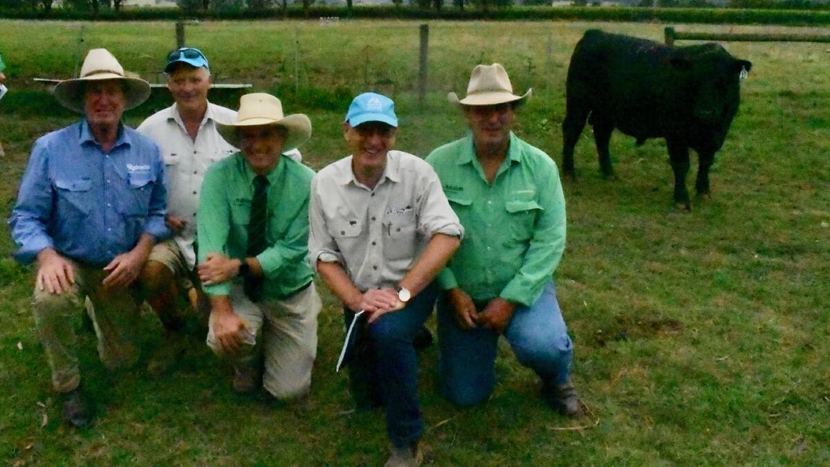 The top-priced Alpine Angus bull with Rodwells Euroa agent Mick Curtis, Alpine Angus stud manager Chris Oswin, Nutrien stud stock agent Peter Godbolt, Alpine Angus owner Jim Delany, and Nutrien agent Dan Ivone. Picture by Justin Conlan.