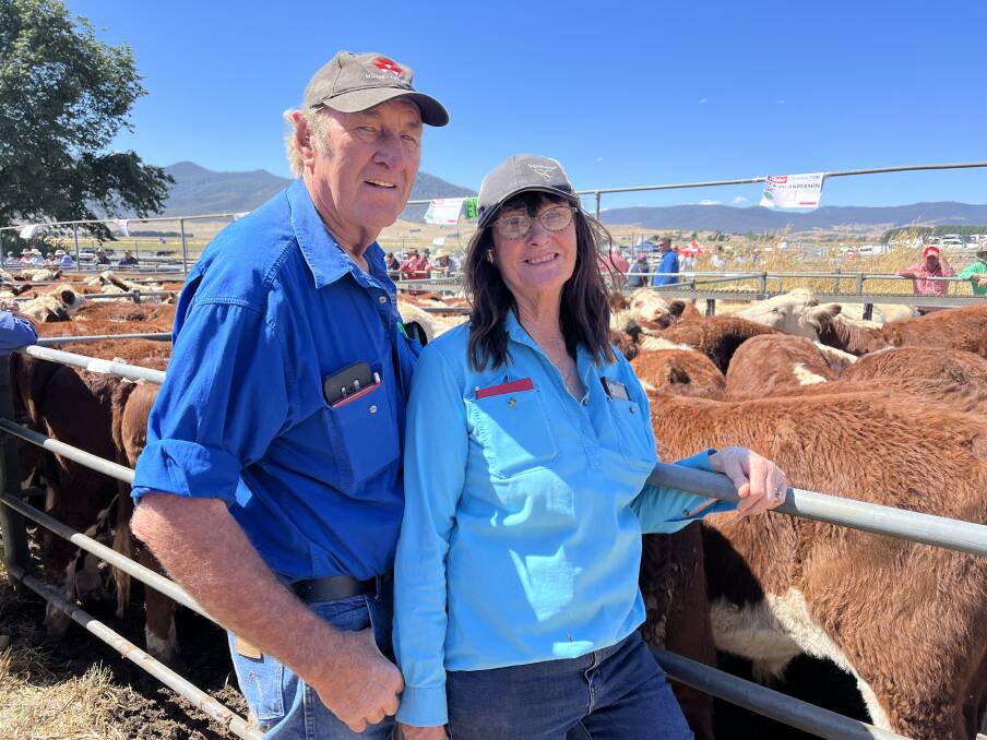 Benambra's Clive and Di Anderson sold 312 mixed-sex weaner cattle at Victoria's Mountain Calf Sales on Tuesday. Picture by Bryce Eishold