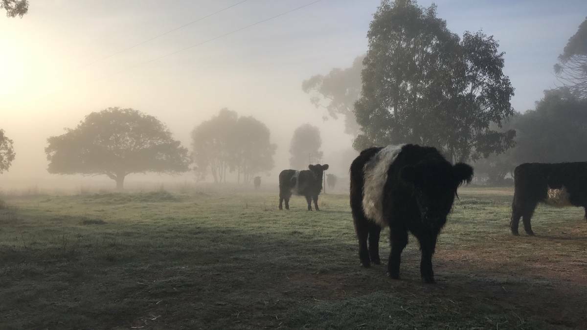 COLD: Temperatures could struggle to pass 10 degrees for parts of southern Victoria this week.