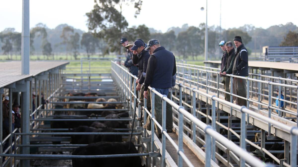 Bendigo cattle sale closes 'effective immediately' after 150 years