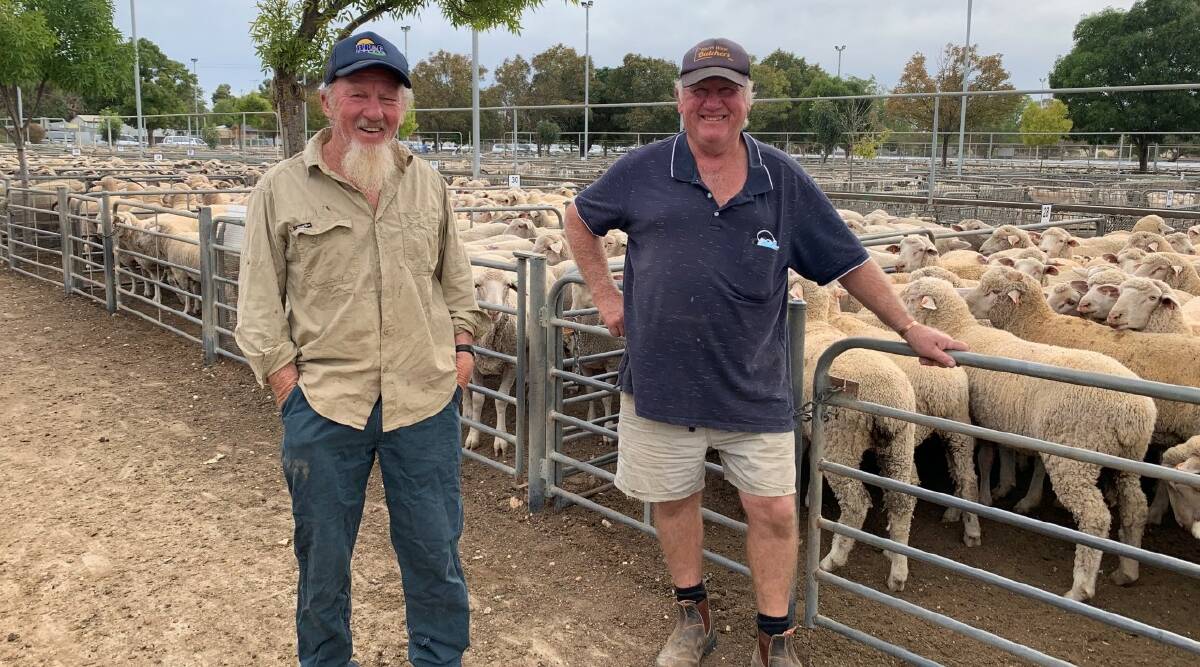 SELLER: Moggy Stone, Torrita, was among the vendors at the Ouyen sheep market on Thursday last week. He was photographed with Kevin Grayling, Walpeup.