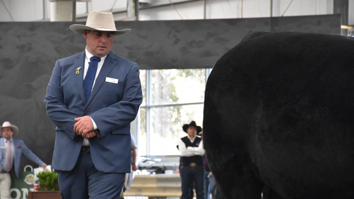 Day three of cattle judging at the Royal Melbourne Show will take place today, as people interested in the competition can watch remotely via a live stream.