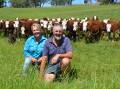 Sonya and Simon Lawlor, Upper Livingstone, Omeo, will sell about 220 mixed-sex Herefords in the final Mountain Calf Sale for 2024. Picture by Bryce Eishold