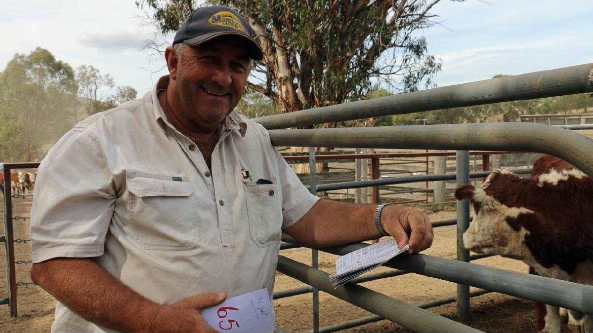 Alastair Nelson, YC Feeding, Colac, is a regular buyer at the Mountain Calf Sales each year. Picture supplied by Herefords Australia
