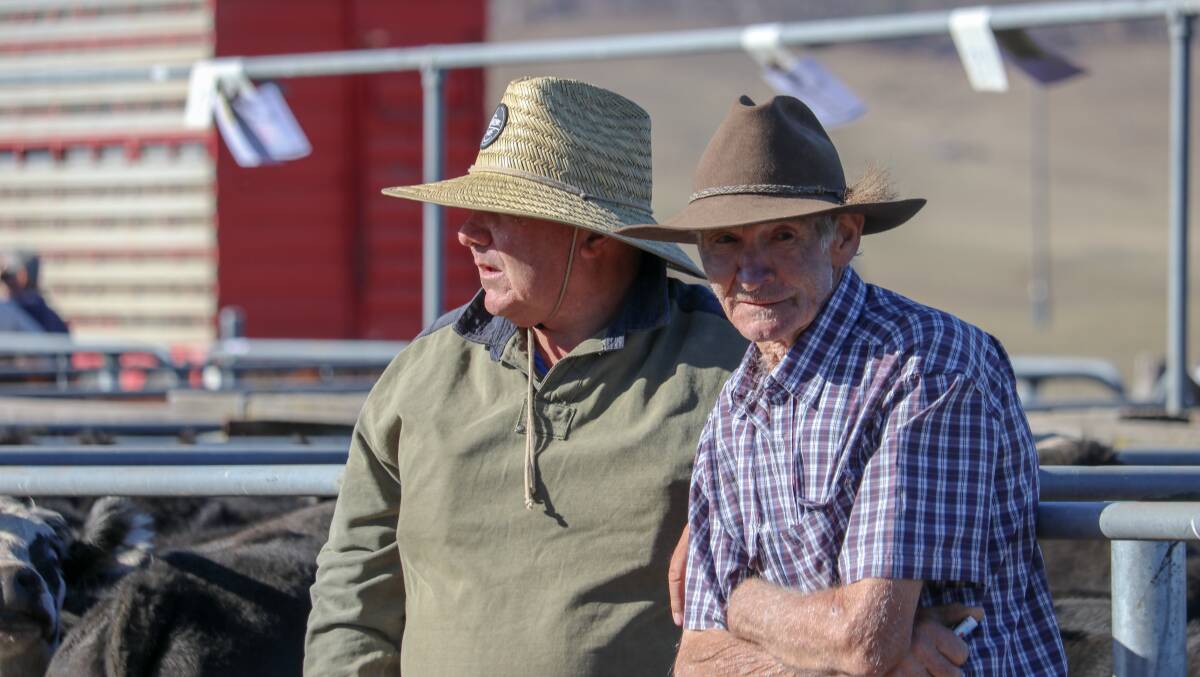 SALE-O: Ron Connley, Omeo, sold 105 Heifers and steers at the Hinnomunjie calf sale last year. He is pictured with Joe Jordan from Ensay. Photo by Emily McCormack.