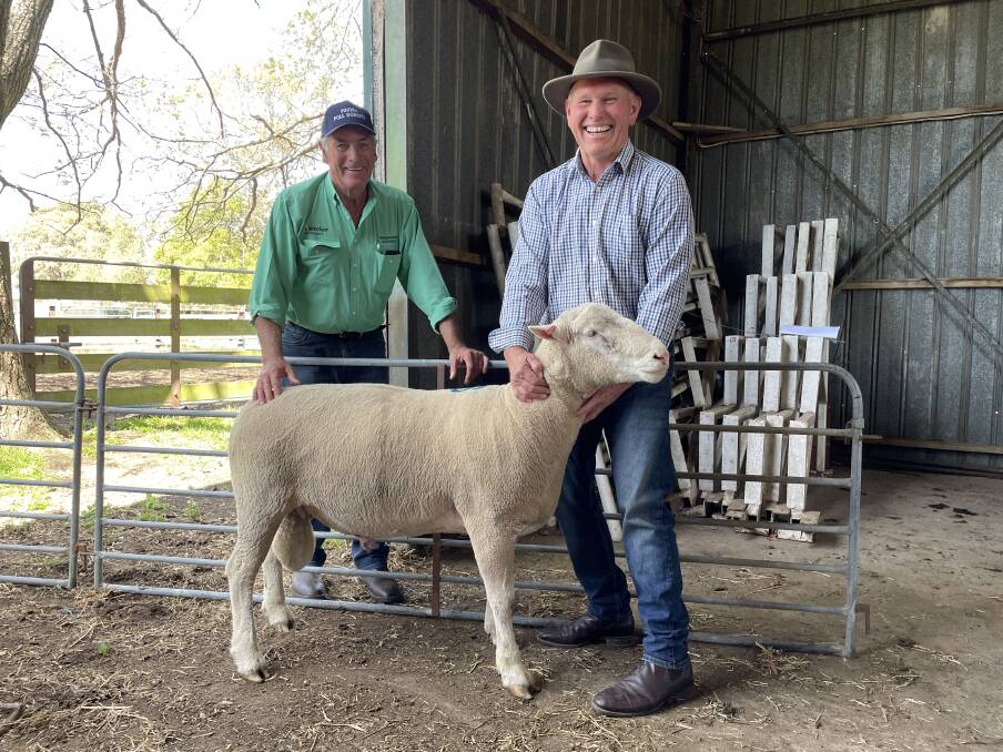 Nutrien Greenwood Livestock agent Ian Baker with Pinora Poll Dorsets stud principal Kelvin Sundermann, Heyfield, with one of the equal top-priced rams. Pictures by Bryce Eishold