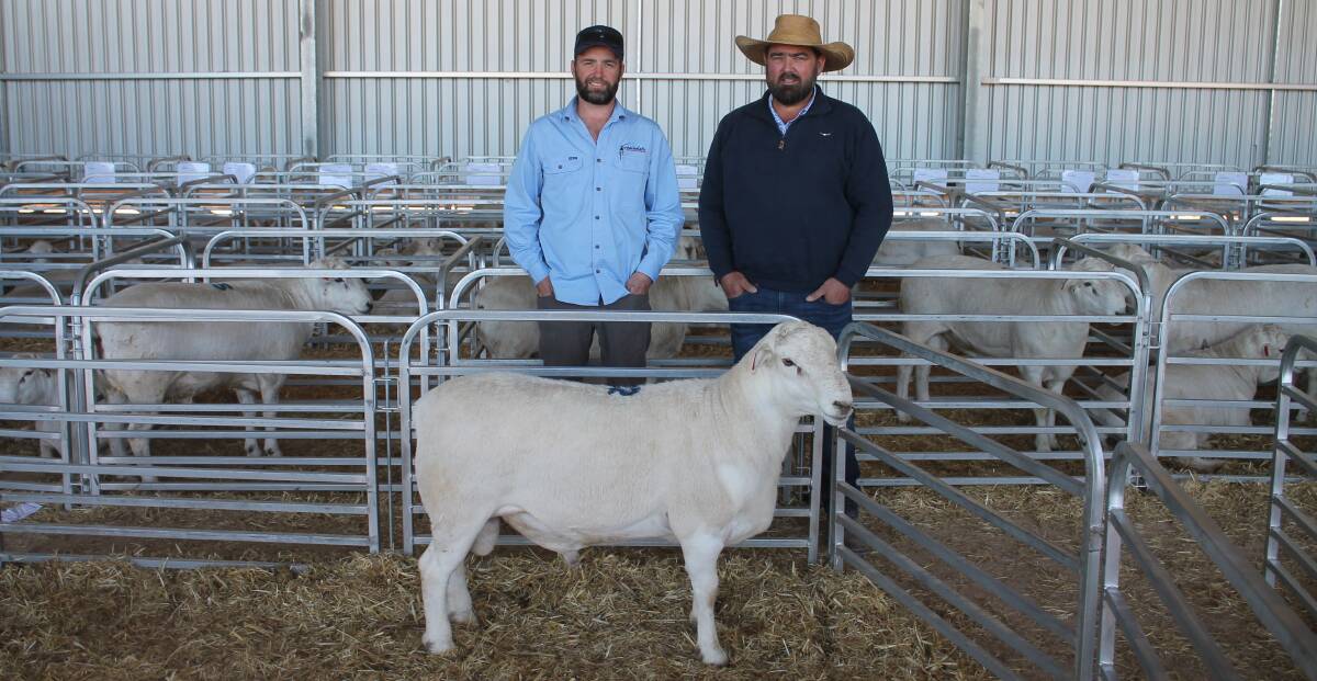 Gamadale Australian White stud co-principal Ben Rowney, Lascelles, and Dan Lustenberger, Bungarley, Tarcutta, NSW, and the top-priced $15,000 lot of the 2023 sale. Picture by Philippe Perez