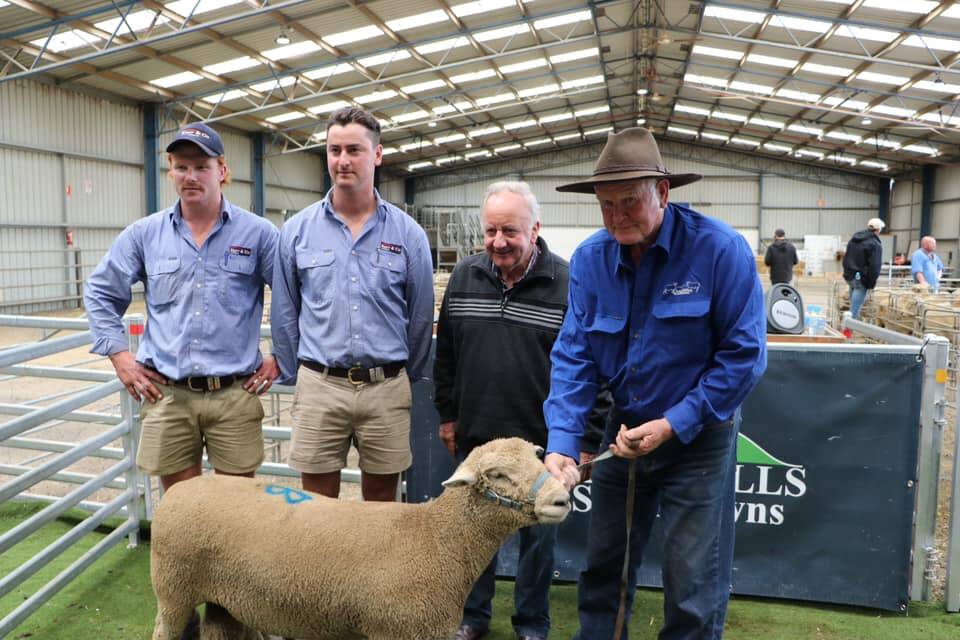 TOP RAM: Pictured at the Hamilton Showgrounds.