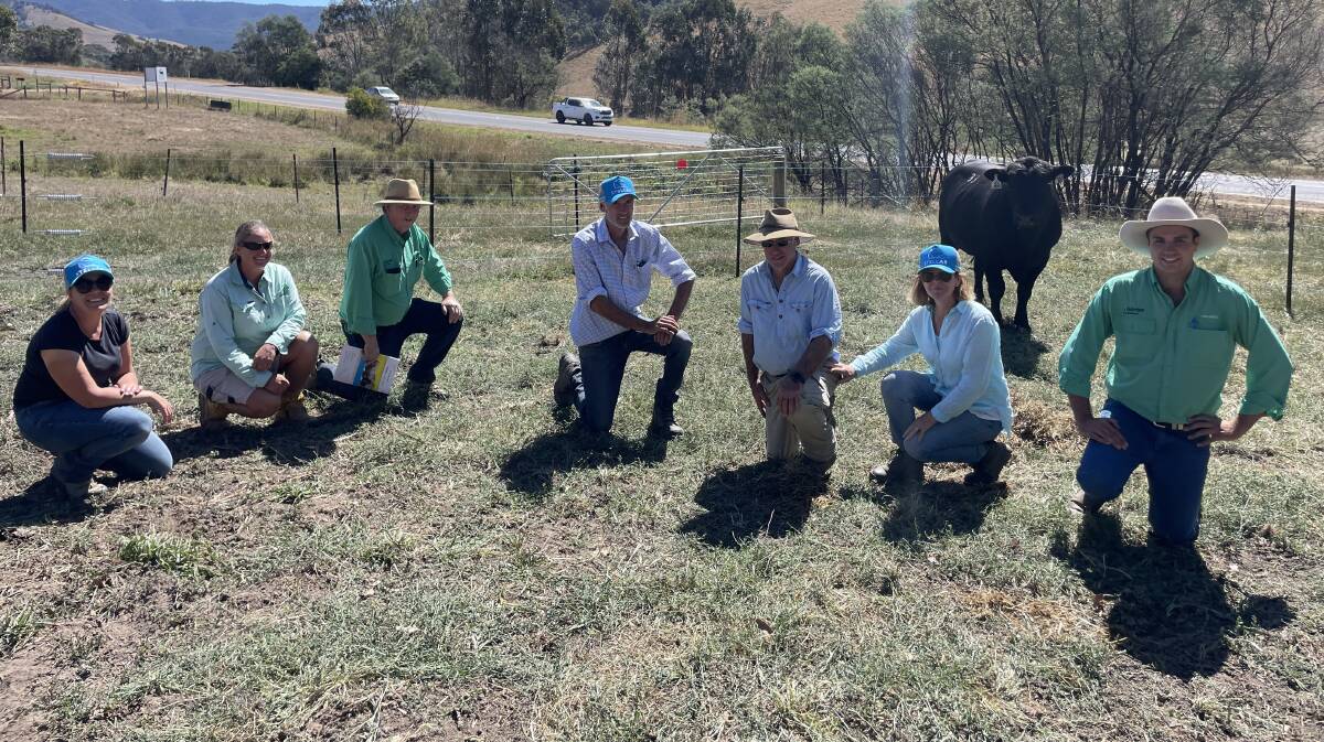 Sally Carroll, Stellar Livestock, Elise Hore, Burnbrae Crossing, Gerogery, NSW, Mike Scollard, Paull & Scollard Nutrien, Albury, NSW, Julian, Stephen and Kathryn Carroll, Stellar Livestock with Wade Ivone, Nutrien Ivone Agencies, Myrtleford, and the top-priced bull. Pictures supplied
