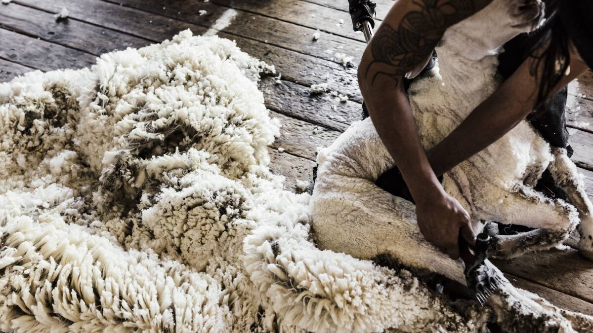 New five-day courses to help boost shearing labour