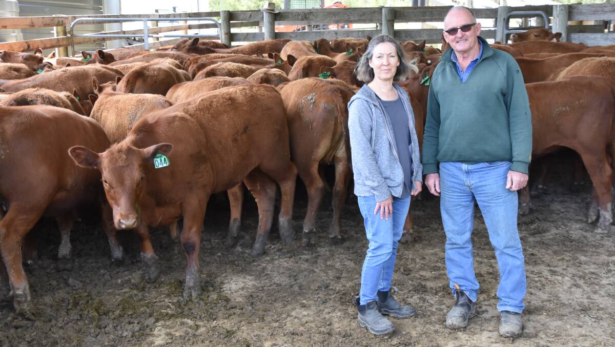 RED DEMAND: Libby and Kevin Heggen, Hedley Range Red Angus, will offer 120 steer calves, 9-11 months, at Leongatha in January.