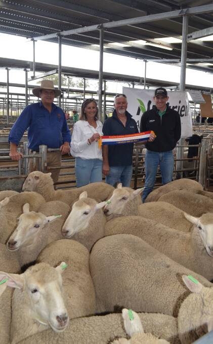 SOLD: Rick Maslin, SELX Yass, Gwenda and Shane Romer, Crookwell, and Matt Joseph, Nutrien, Crookwell, with 207 ewes that sold for the top price of $452 at Yass, NSW.