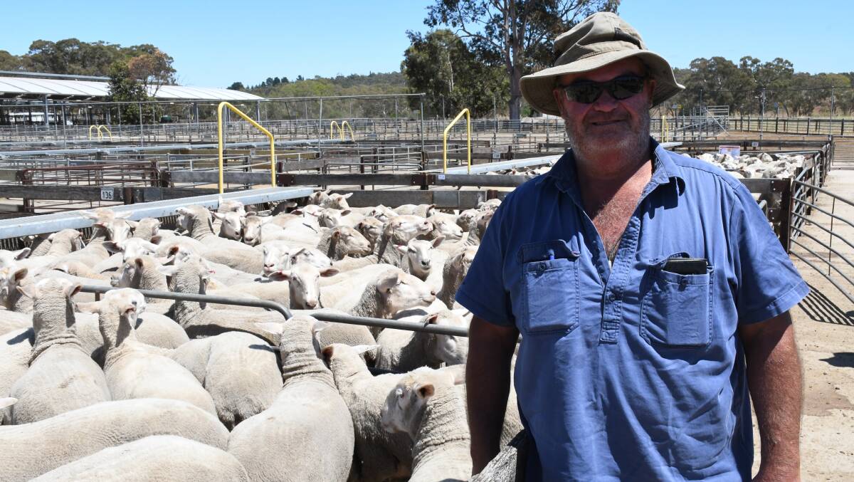 Victorian farmer Scotty Wheadon, Apsley, attended the Naracoorte, SA, sheep market last Thursday. Picture by Quinton McCallum