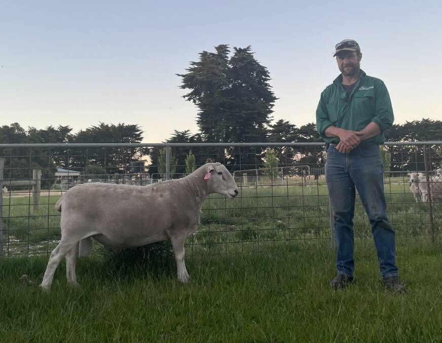 TOP RAM: Low Footprint Lamb stud principal Matt Kelly with the top-priced 2021 ram, Lot 90, which sold for $7300.