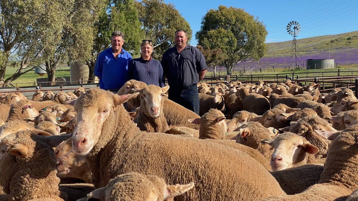 RUN: Justin and Anthea Lines, Gum Hill, Mount Bryan, SA, and manager Stuart Dale with Merino ewes which sold for $336 during the Keith off-shears feature ewe sale.
