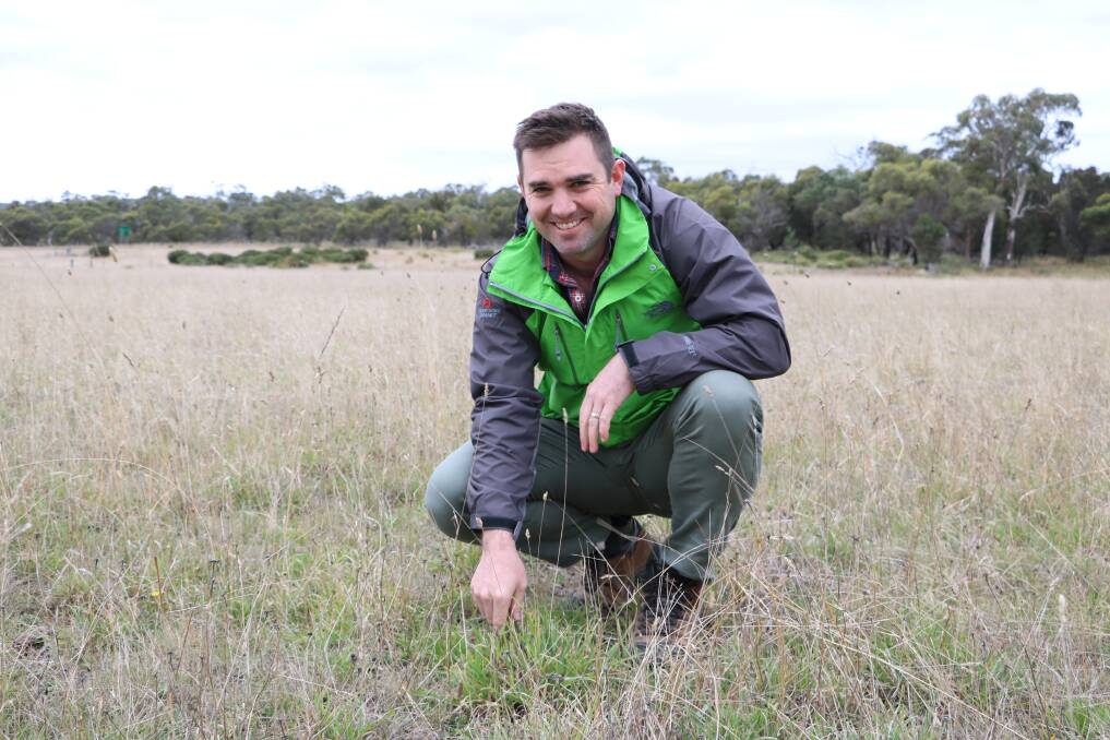 PASTURE: Tasmanian Institute of Agriculture research fellow Dr Rowan Smith is leading a five-year legume project.