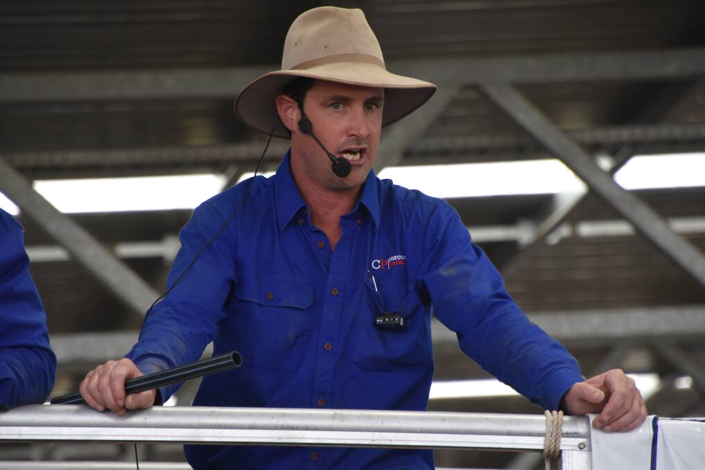 SALE-O: Corcoran Parker auctioneer Justin Keane said heifers sold to extradionary prices on Friday during the complex's feature February heifer sale.