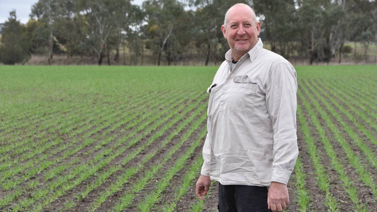 VISION: Wimmera farmer Greg Speirs, Lower Norton, stands in a paddock of Compass barley, brought on by good winter rain. Photo by Gregor Heard.