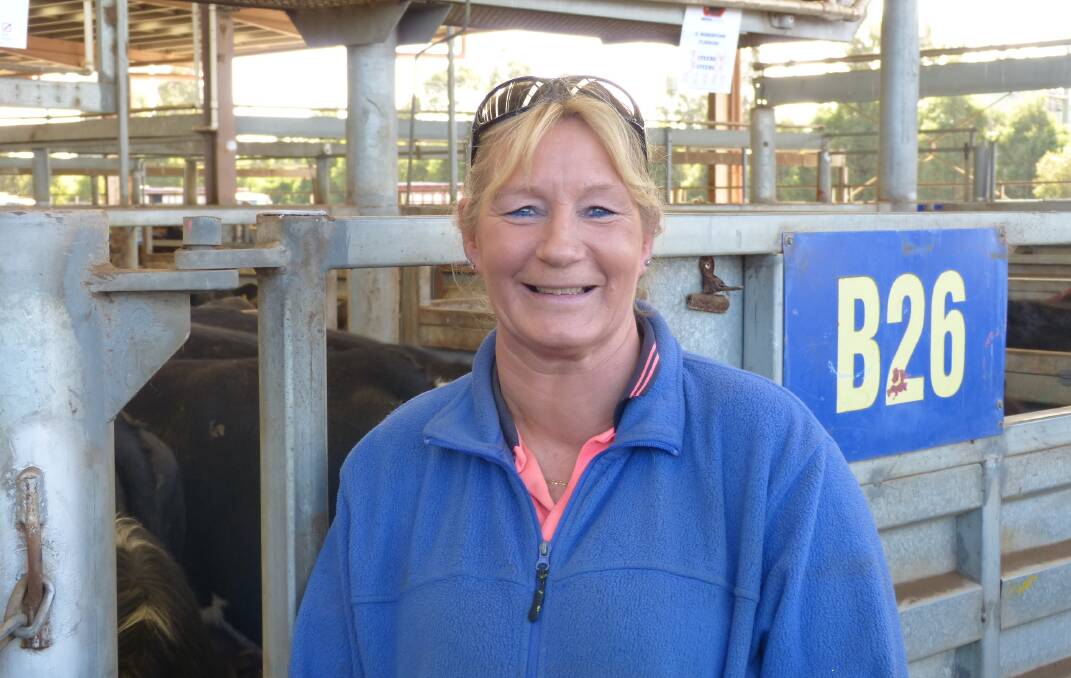 GIVE IT A SHOT: Drover Yvonne Scoles, Bayles, is encouraging other women to take up a job in the cattle industry.