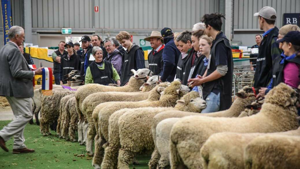 HIT HARD: Many schools across the state had planned to showcase their stud animals at the Royal Melbourne Show.