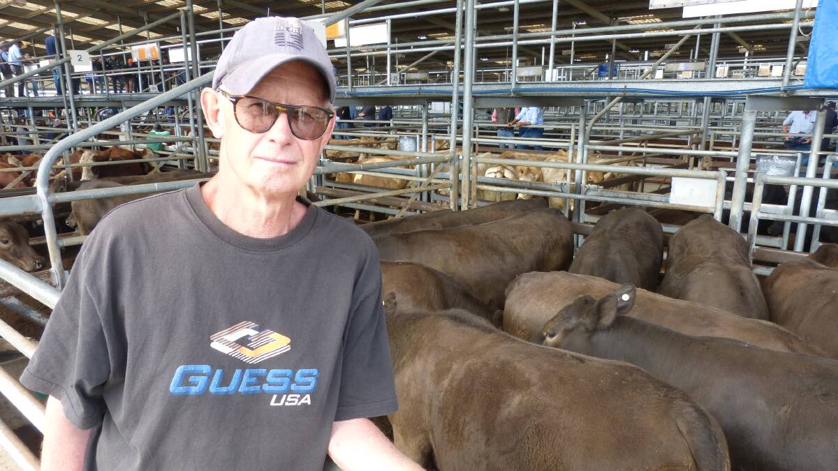 FIRST PEN: Denis Woodward, Wy Yung, sold 17 Murray Grey steers, including 10 steers, 576kg, for $1670 or 289ckg at the Bairnsdale store sale this month.