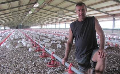 HELP OUR GROWERS: Australian Chicken Growers Council president Allan Bullen has urged Coles and Woolworths to support Victorian poultry farmers.