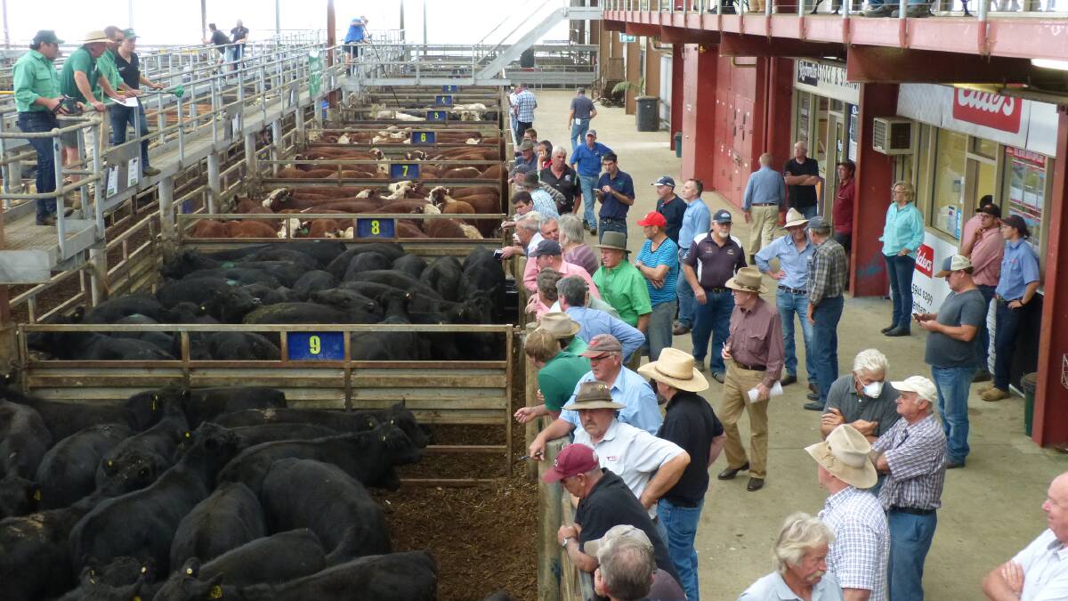 DOORS LOCKED: Crowds at store cattle sales have dwindled since this photo was taken in March. 